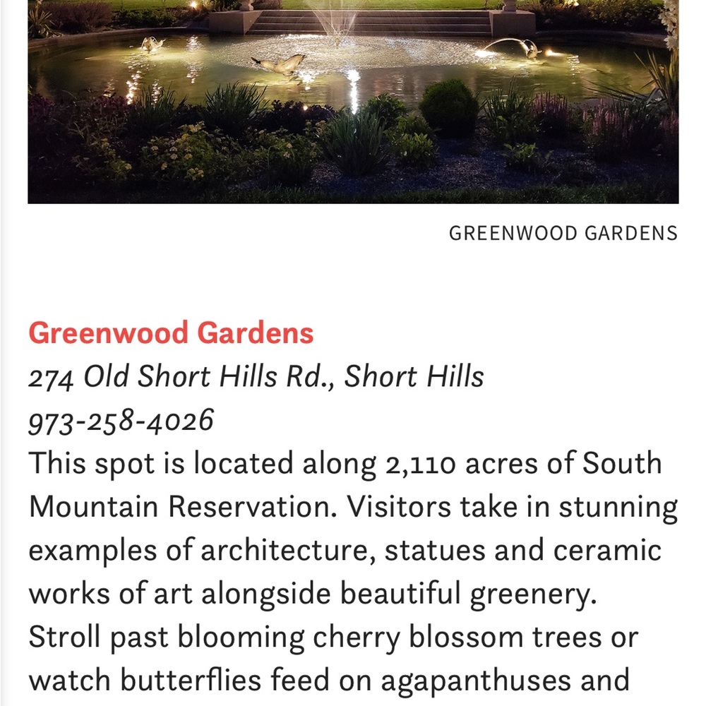 Louis Vuitton brand new shoes size 38